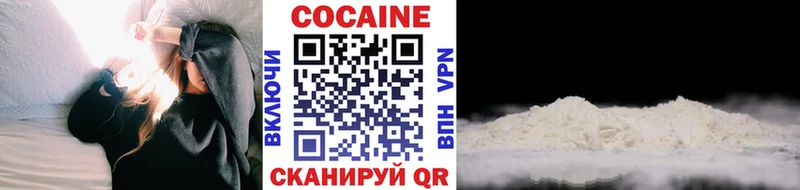 продажа наркотиков  Котлас  КОКАИН FishScale 