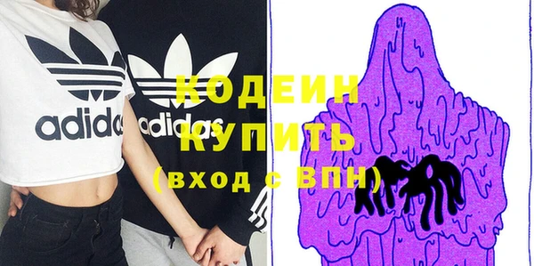 индика Россошь