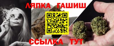 гидра Кандалакша