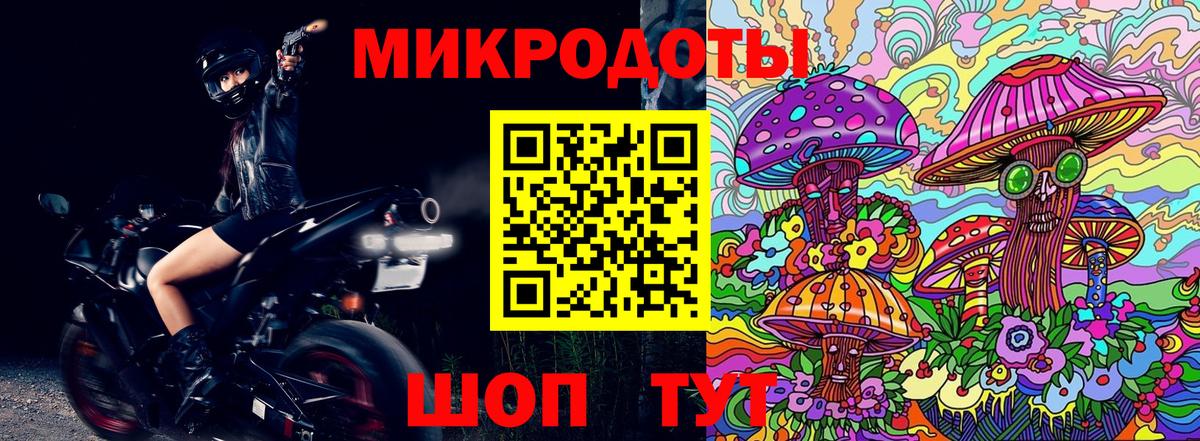 Котлас  Галлюциногенные грибы Psilocybe  Псилоцибиновые грибы прущие грибы  Вход с VPN 