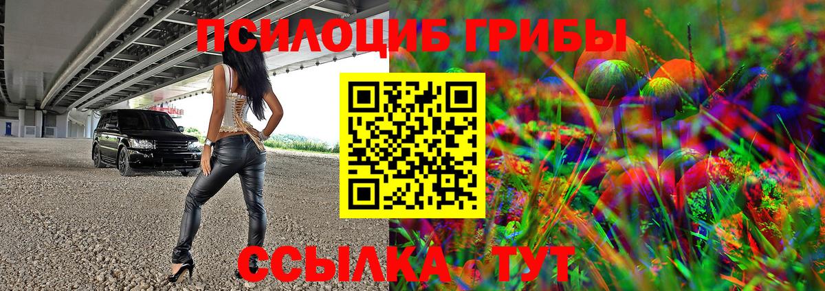 Псилоцибиновые грибы ЛСД Котлас